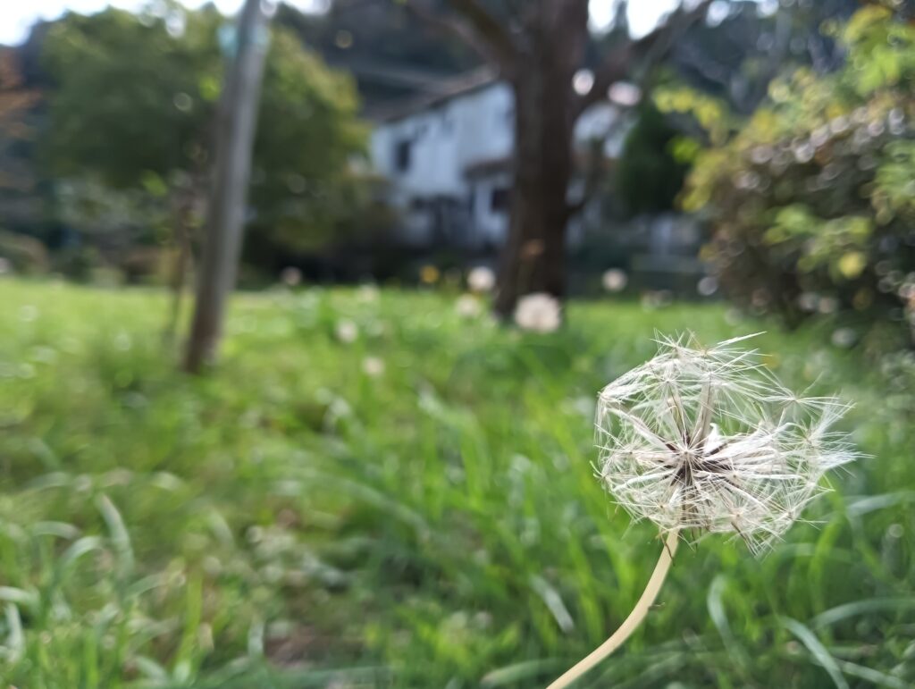 流れのままに