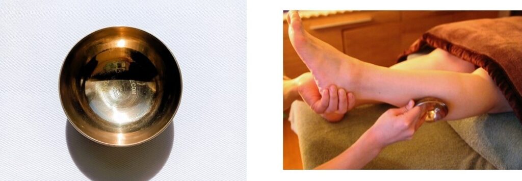 続 チャンピサージ®とKansa®推し